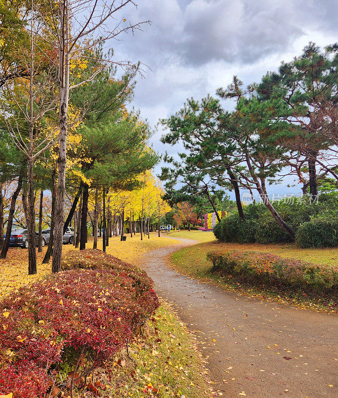 vh560 - 000菊花节风景1.JPG